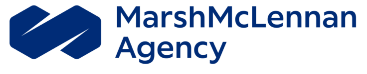 Silver Sponsor